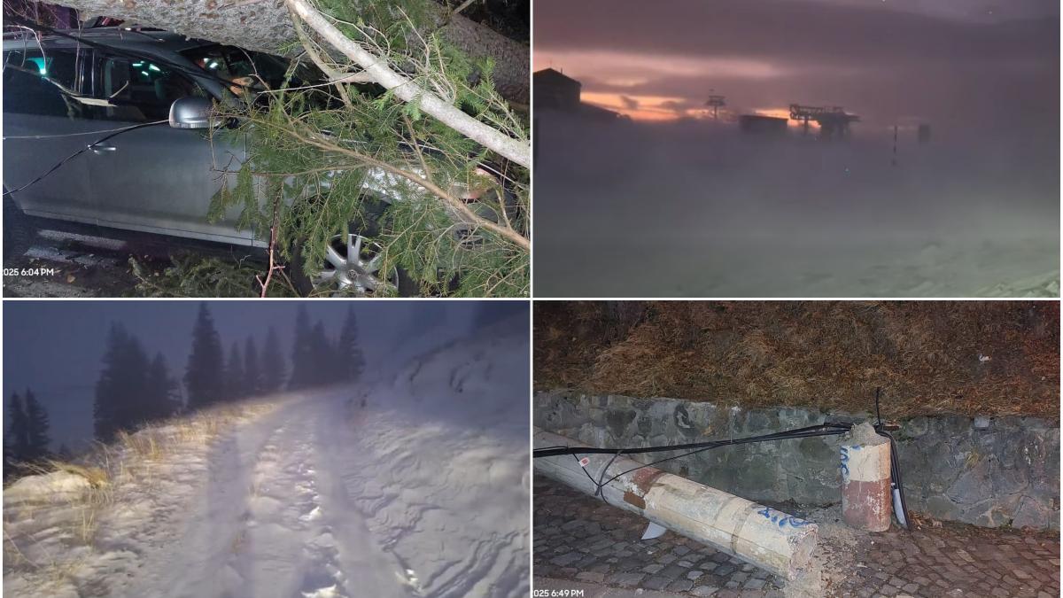 Vremea extremă face ravagii în România: Copaci și stâlpi doborâți de vânt. Urmează zile cu viscol, ninsori și polei