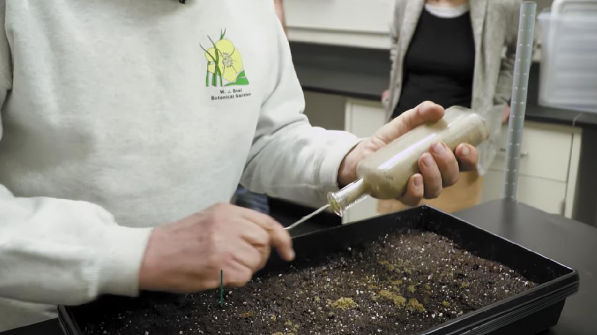 În 1879, un om de știință a îngropat mai mult sticle pline cu semințe. La fiecare 20 de ani, câte una este dezgropată și studiată