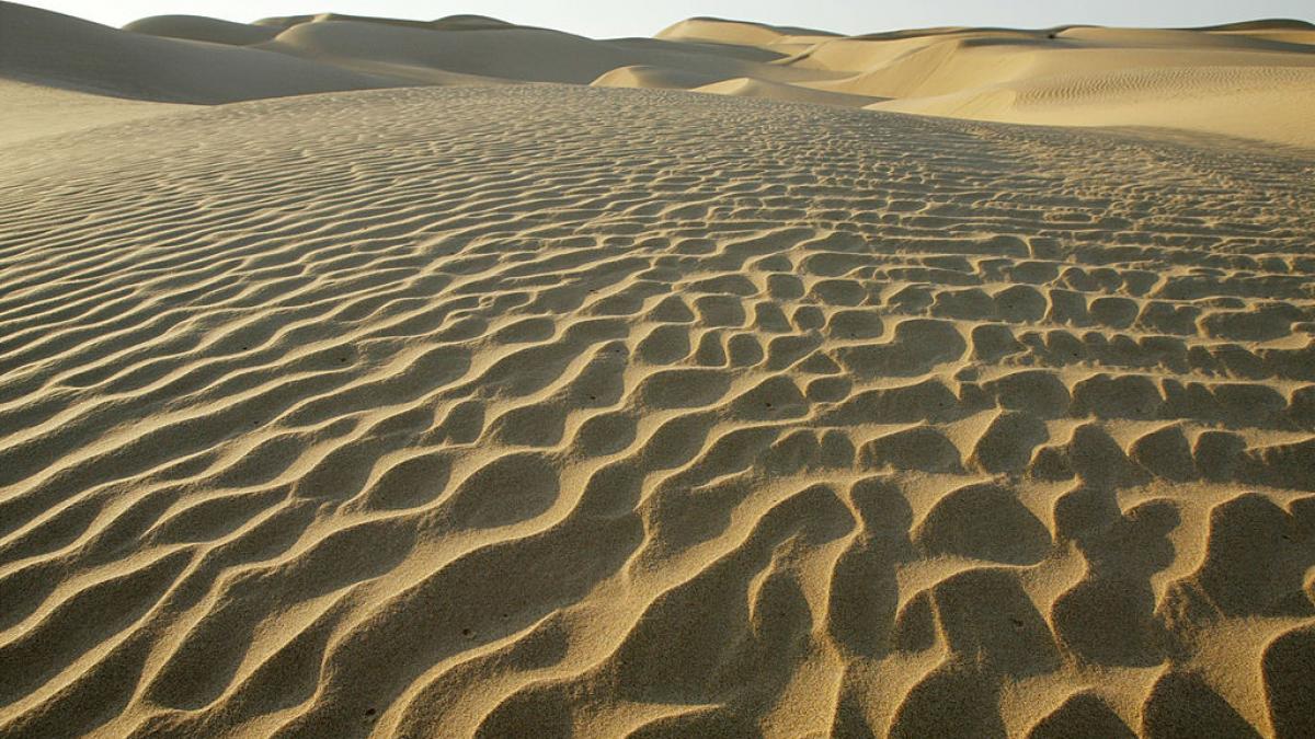 de ce arabia saudita si emiratele arabe unite importa nisip din australia desi au miliarde de tone in deserturile lor imense