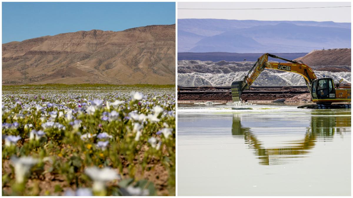colaj desertul atacama si exploatarea unei saline
