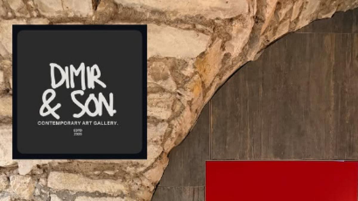 doi medici deschid una dintre cele mai mari galerii de arta din tara romanii vor putea admira artisti care sunt expusi si in new york