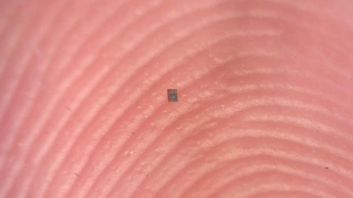 cercetatorii au creat cel mai mic robot programabil din lume este cat un graunte de sare