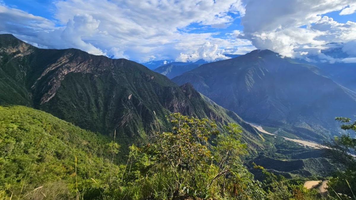 padurea de nori interzisa din peru a fost casa unei civilizatii antice misterioase azi exploratorii descopera acolo specii nestiute