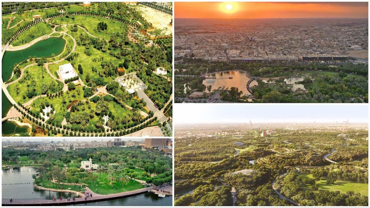 tara cu cel mai mare desert de nisip continuu de pe pamant va avea si cel mai mare parc urban din lume cum va arata gradina uriasa