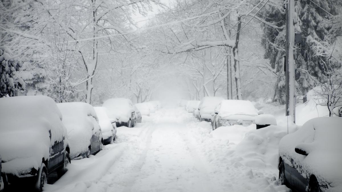 vremea extrema a doborat peste 100 de copaci in judetul hunedoara si in jur de 6 500 de gospodarii nu au curent