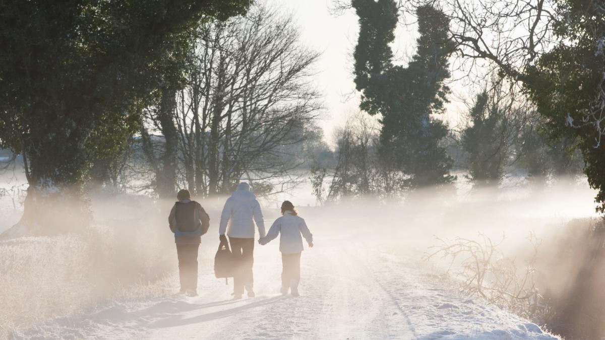 cursurile nu mai incep joi in scoli din mai multe judete din cauza ninsorilor lista unitatilor de invatamant inchise pana luni