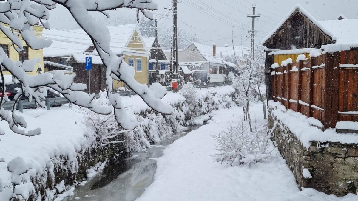 ce pateste casa din cauza zapezii iarna provoaca cele mai frecvente daune la locuinte