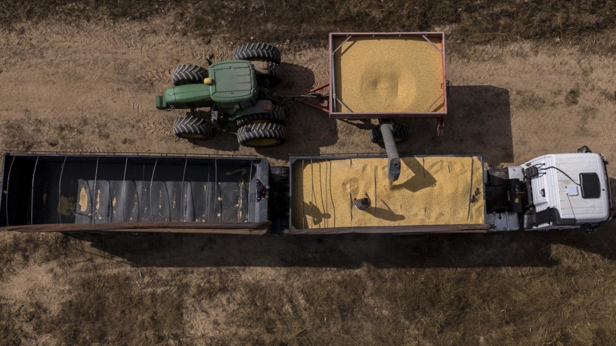 ministrul agriculturii despre mercosur brazilia si celelalte state produc cantitati uriase de porumb care vor invada ue