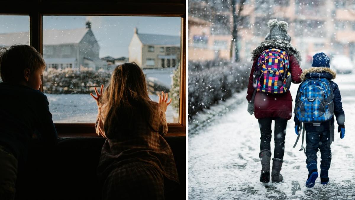 Şcoli din 6 judeţe îşi desfăşoară cursurile online, luni, din cauza ninsorilor şi a gerului. Unde a fost suspendată activitatea