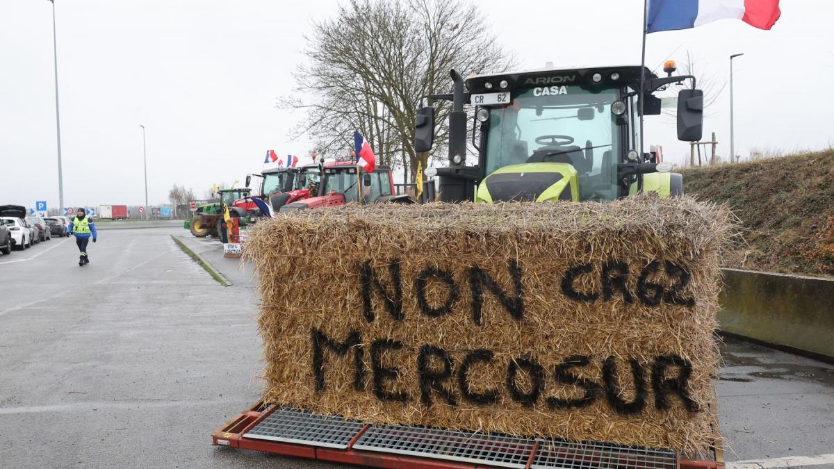 text „Nu Mercosur” în franceză pe un bloc de fând