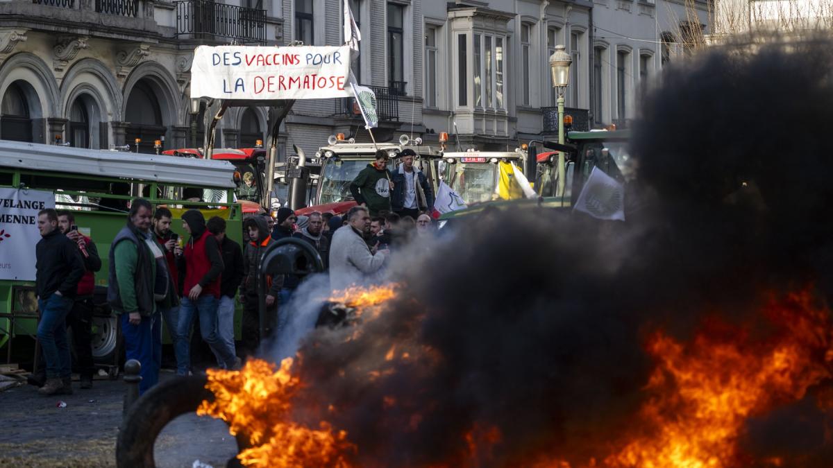 Furia fermierilor europeni, exploatată pentru bani: Rețelele sociale s-au umplut de videoclipuri false, generate cu AI