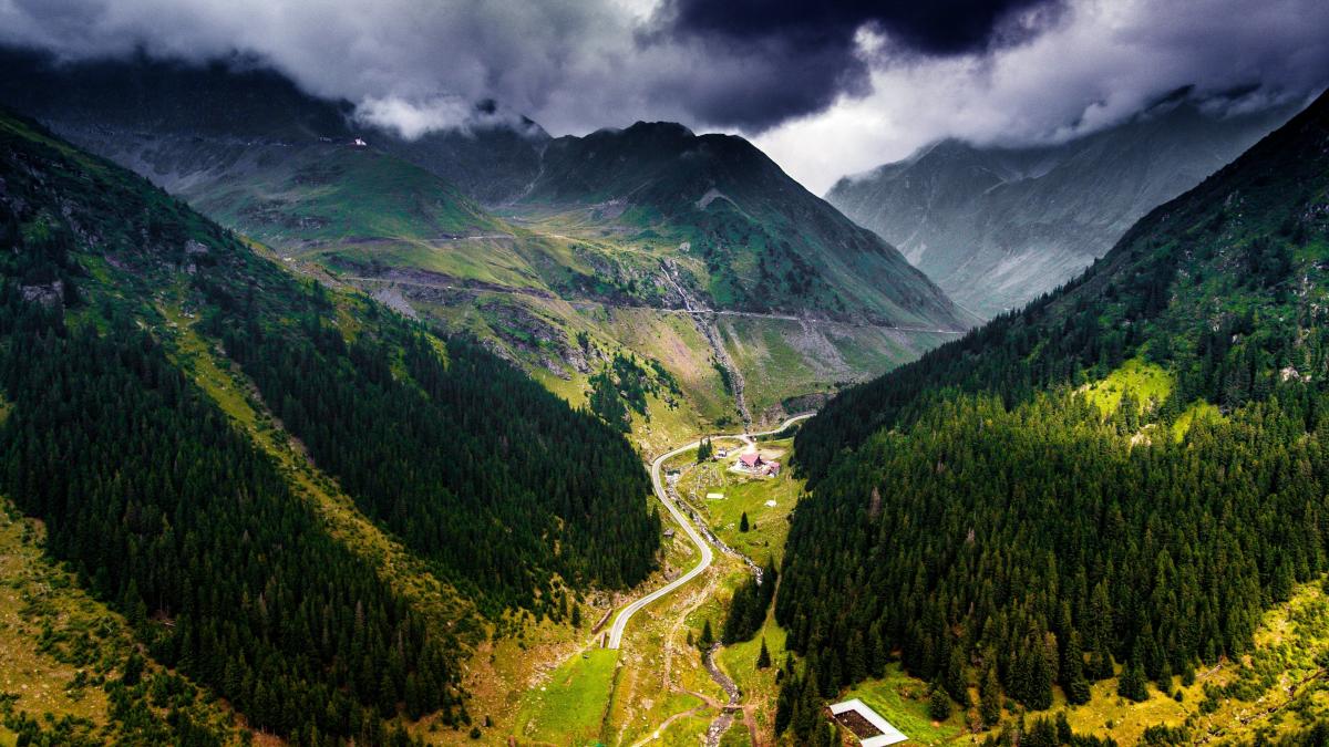 e243815b-14e5-41ef-802f-d66531ec19e6