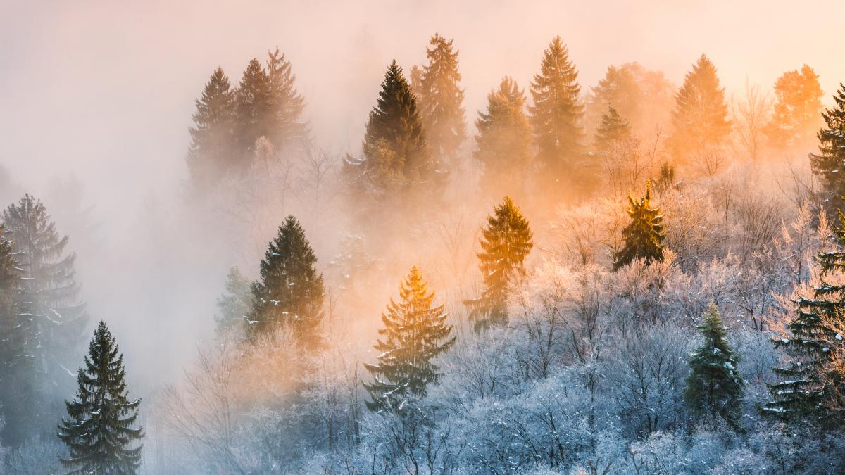 vesti bune de la meteorologi scapam de ger temperaturile cresc in toata tara si vor urca pana la 10 grade