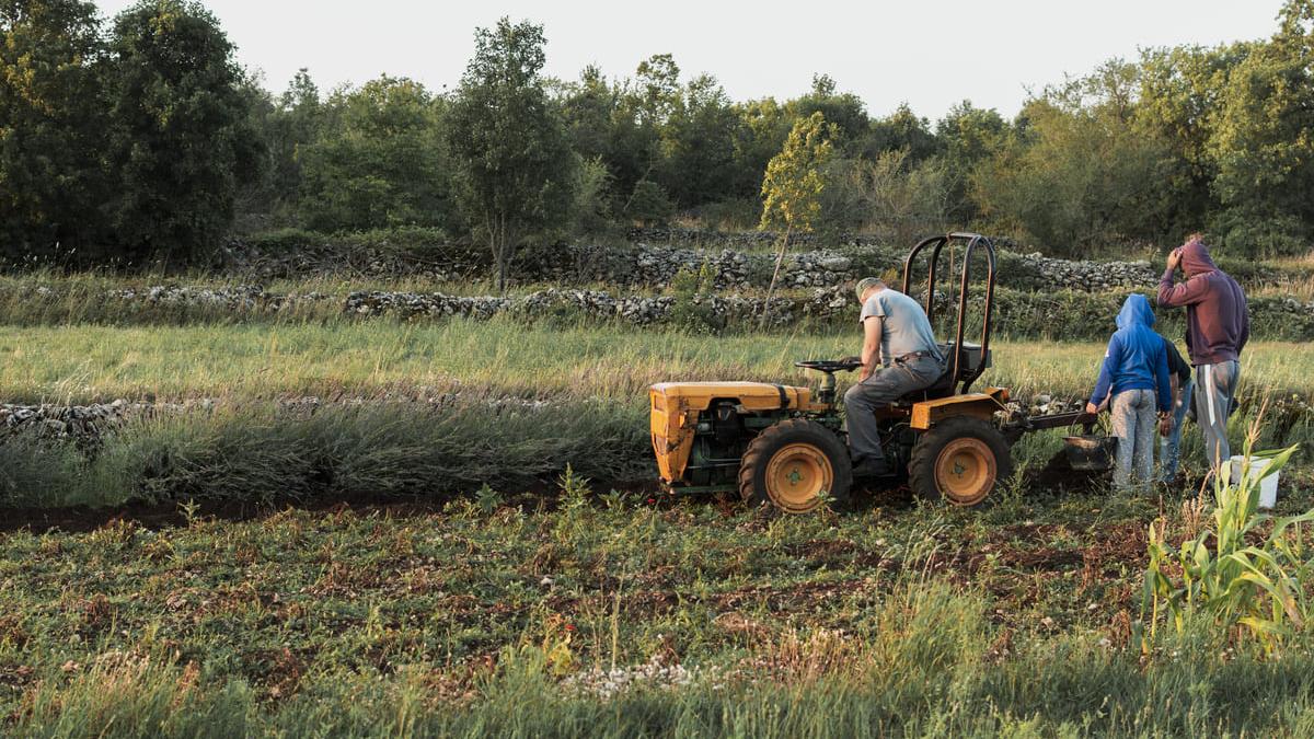 fermier cu tractorul verificand recolta