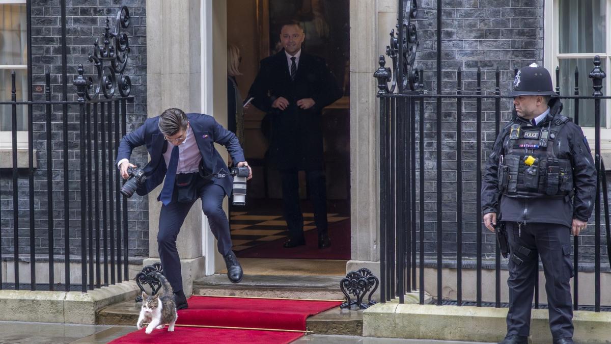 Scene amuzante cu Larry, motanul de la Downing Street. De această dată, fotograful lui Nawrocki era să-l calce pe coadă la propriu