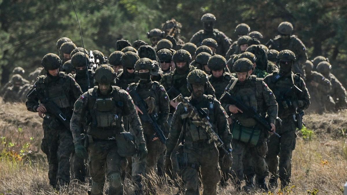 statele europene trimit primii soldati in groenlanda germania anunta o misiune de recunoastere formata din 13 militari