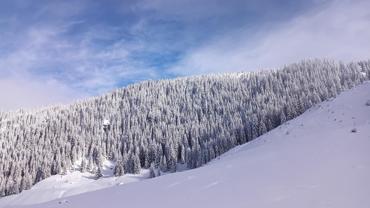 Zăpadă de doi metri în zona montană a judeţului Suceava. Salvamontiștii anunță care sunt traseele periculoase