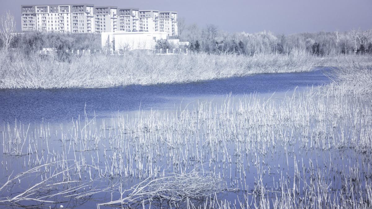 Atenționare de vreme geroasă în București. ANM: Urmează șase zile de frig, ninsori slabe și vânt