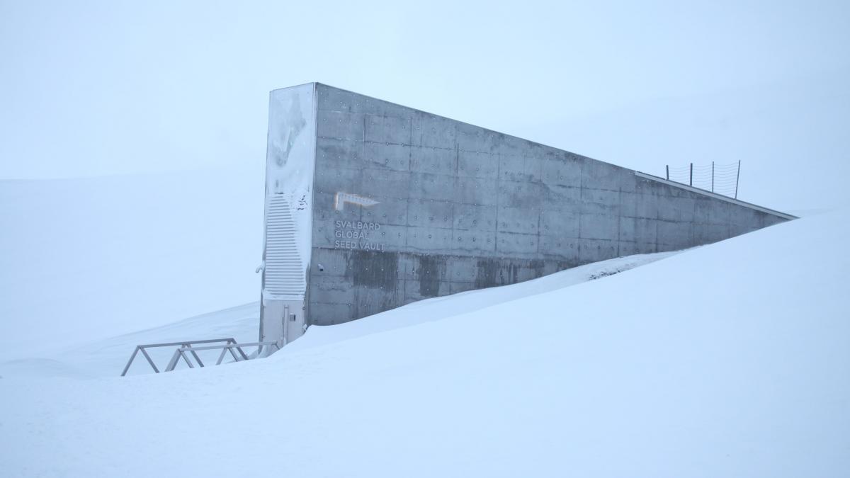 in antarctica a fost inaugurat un sanctuar pentru a conserva arhivele glaciare ale planetei la 52 c