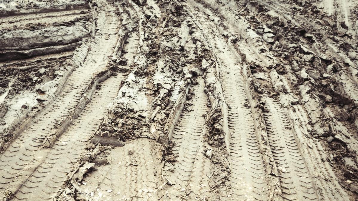 Primăria Arad, obligată să plătească 25.000 de lei unei femei, după ce a fost impozitată greșit peste 10 ani