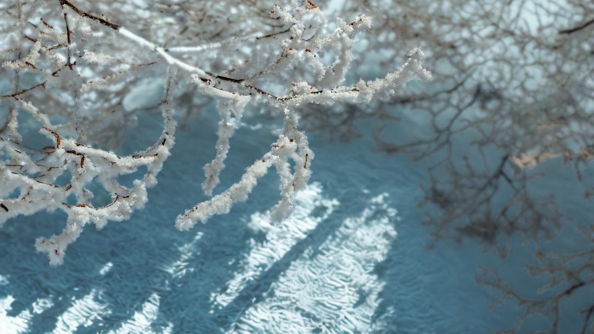 codul galben de ger a fost prelungit si extins in mai multe zone din tara temperaturile minime vor atinge 20 de grade