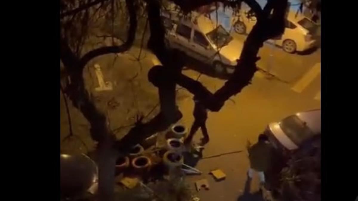 barbatul care a distrus mai multe casute pentru pisici in sectorul 3 a fost retinut oamenii legii au deschis si dosar penal