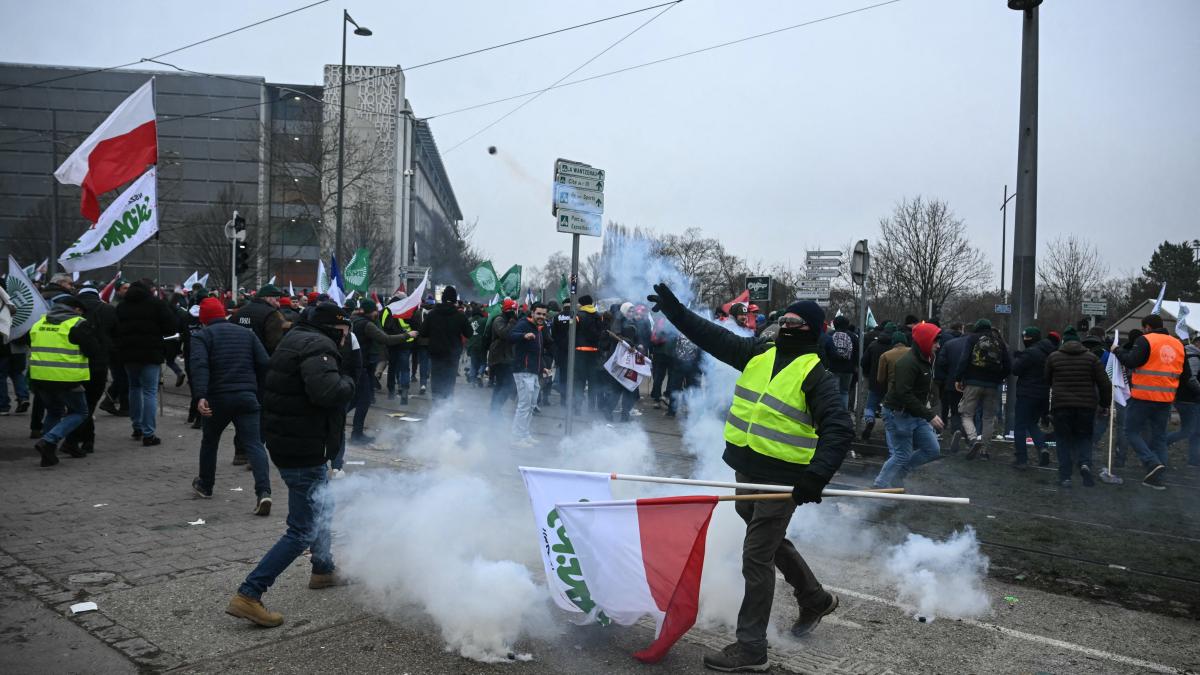 strasbourg sub asediu mii de fermieri cer trimiterea acordului cu mercosur la cjue sute de protestatari din romania