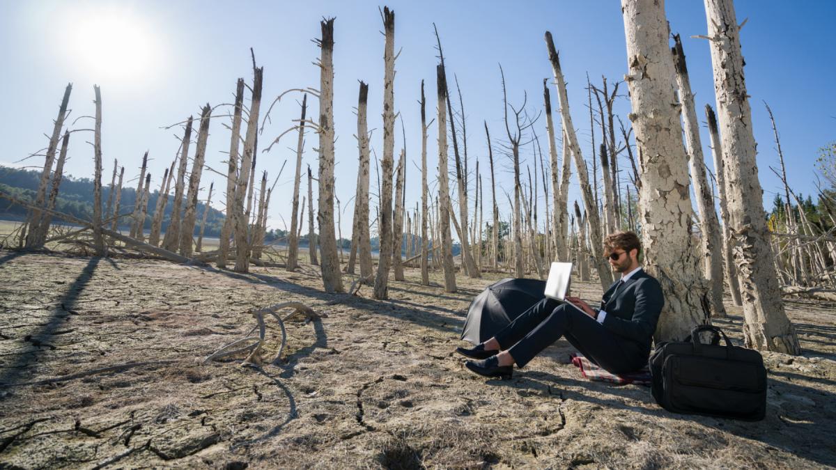 vara 2026 sub semnul el nino va fi unul din cei mai caldurosi ani inregistrati vreodata