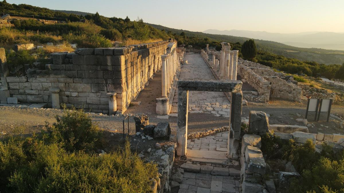 arheologii au descoperit singura bazilica proiectata de vitruvius e mormantul lui tutankhamon al italiei