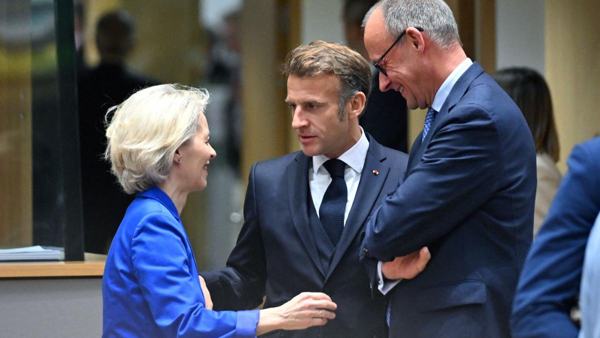 ursula von der leyen, emmanuel macron si Friedrich Merz