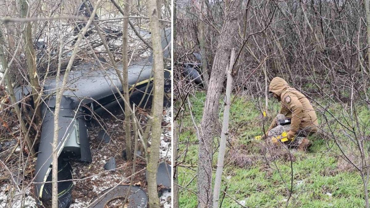 colaj 2 poze cu drona descoperită în curtea unei case din Republica Moldova