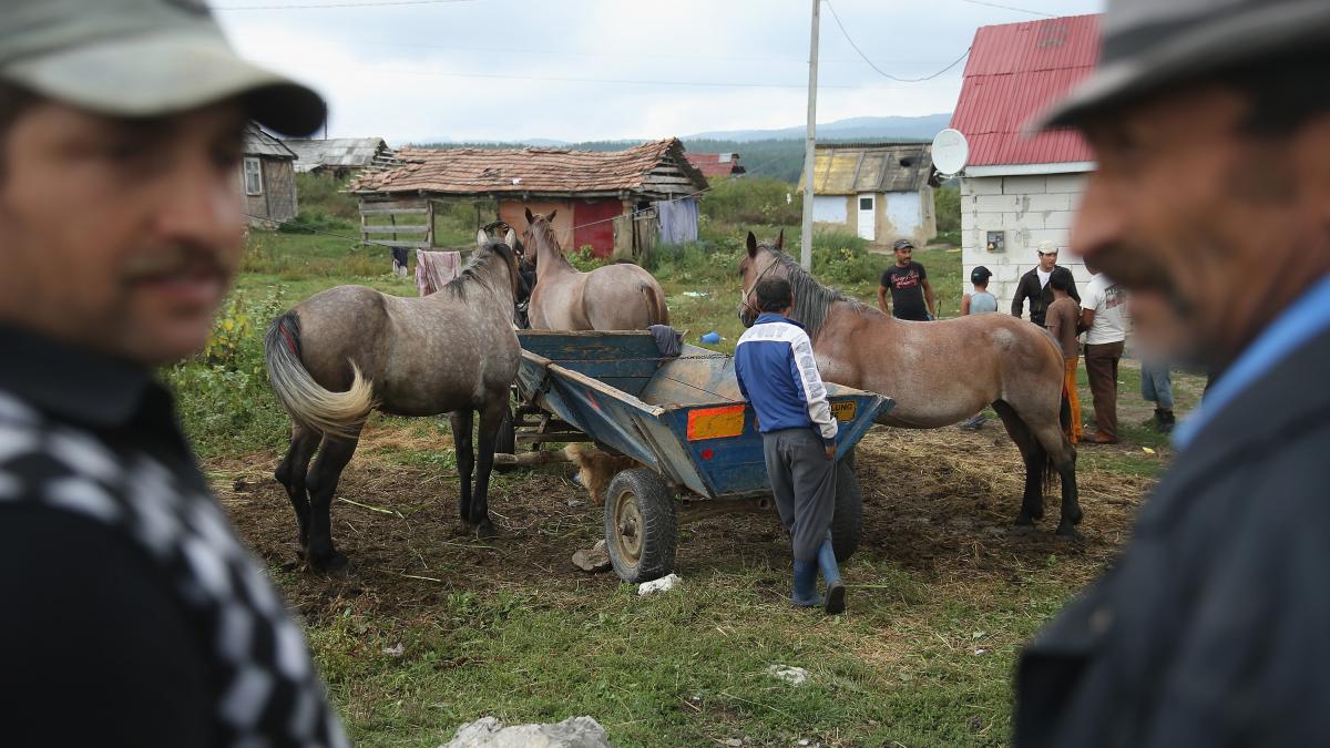 scandal ciudat romii acuza alti romi ca ii discrimineaza pe romani de la ce a pornit totul
