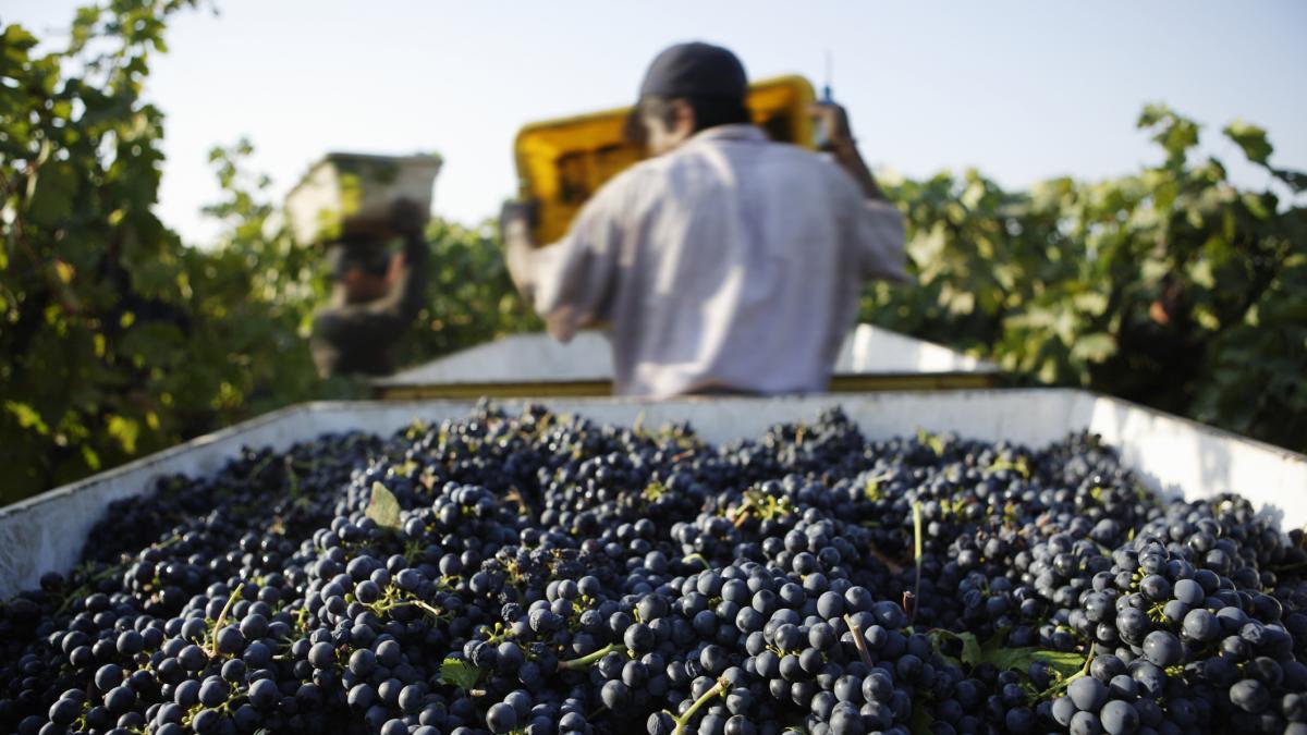 un muncitor roman a murit dupa ce a fost lasat sa zaca doua zile intr o ferma din germania fara ca nimeni sa cheme ambulanta