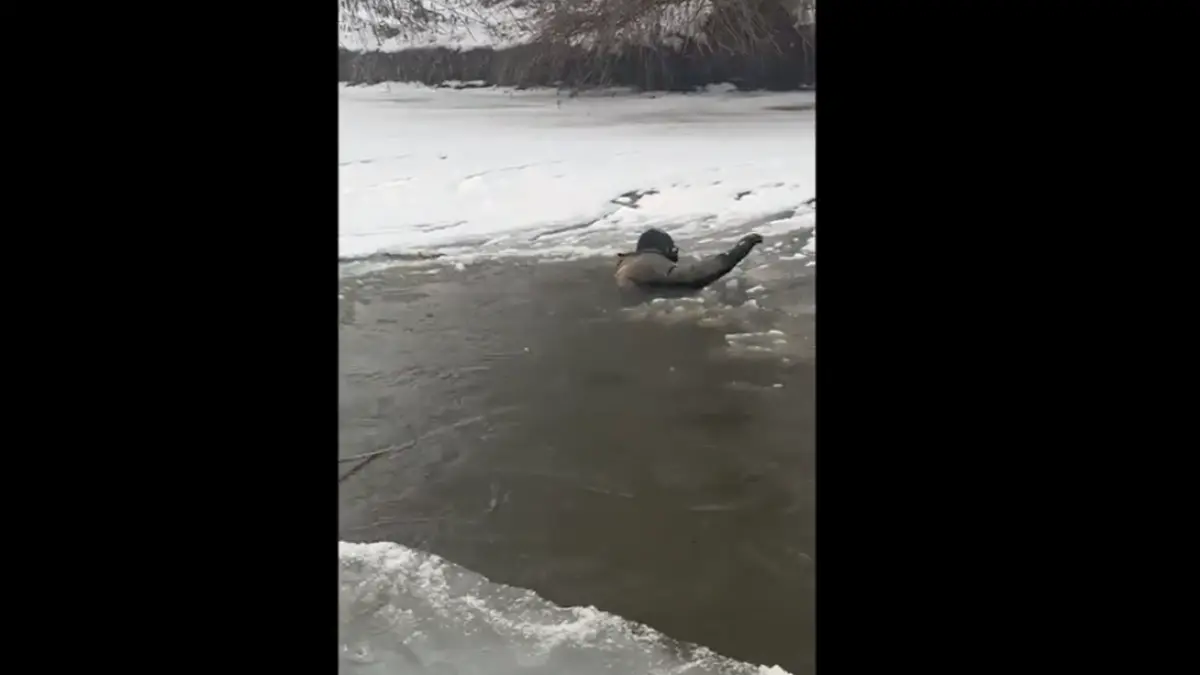 clipe dramatice in gherla doi copii de 4 si 5 ani au cazut in raul somes cu sania unul dintre ei a fost salvat de un adolescent