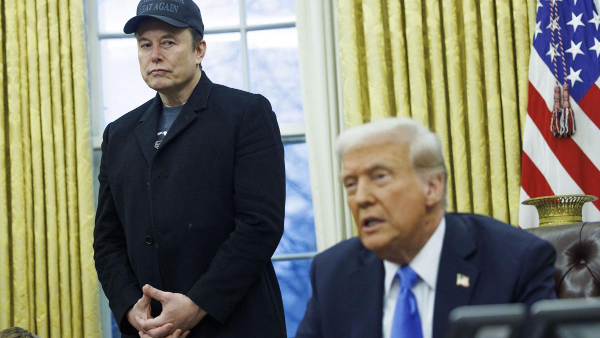 elon musk ironizeaza consiliul pacii al lui donald trump o bucatica din groenlanda o bucatica din venezuela
