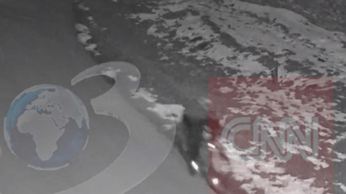 reconstituirea crimei din timis profiler e interesant de vazut pana unde erau dispusi copiii criminali sa mearga cu planul