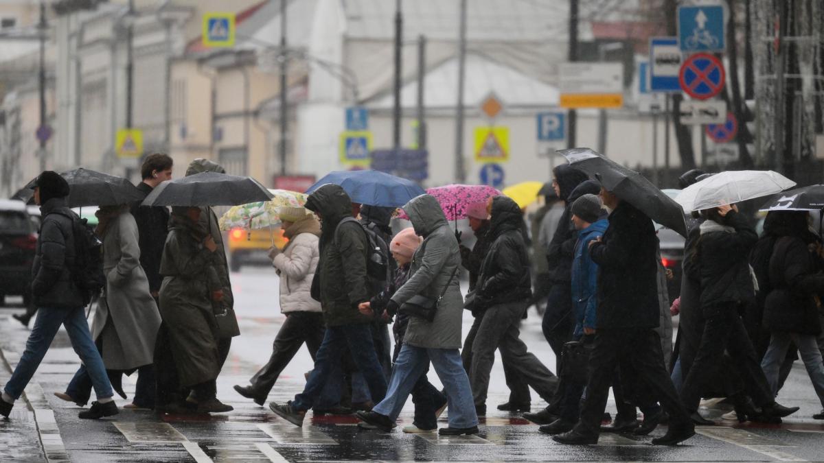dupa ger si zapezi temperaturile urca la 14 grade si vin ploile prognoza anm pana pe 8 februarie