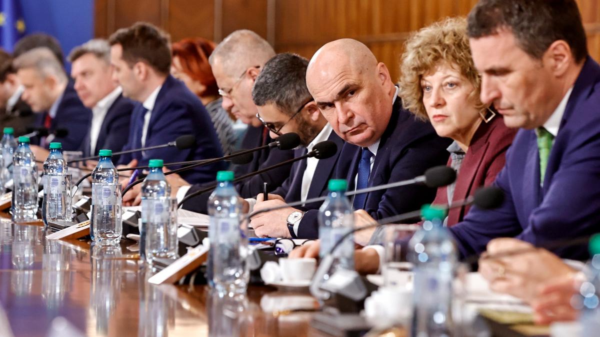 oana gheorghiu pana la 31 august vor fi restructurate trei companii de stat nu mai este posibila listarea la bursa