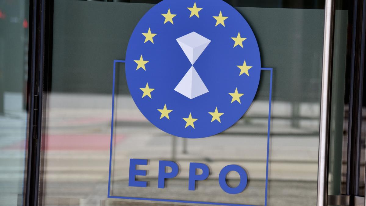 parchetul european perchezitii in vrancea intr un dosar de fraude cu fonduri ue pentru tineri defavorizati