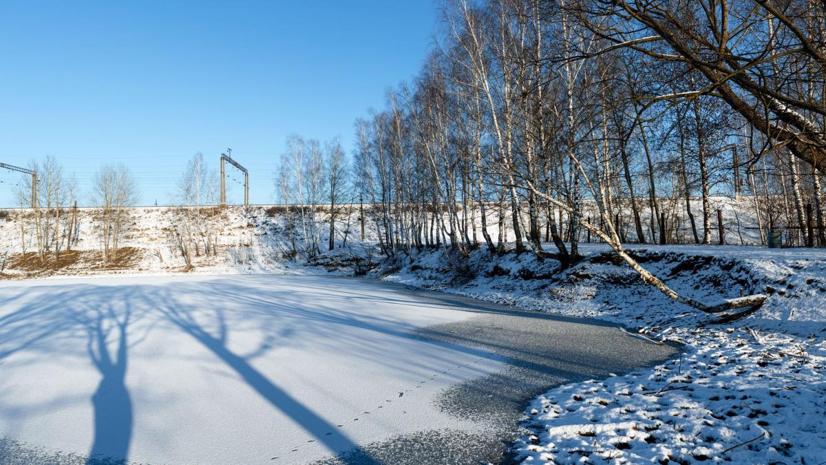 iaz inghetat cu copaci pe mal