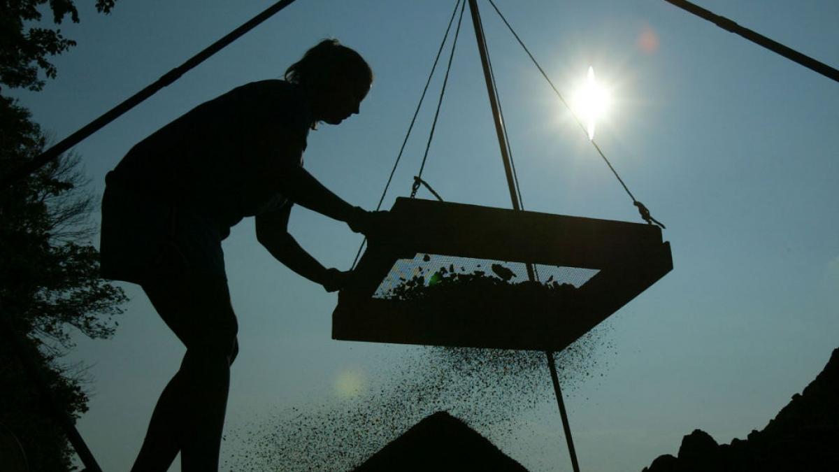 poza in care apare o cercetatoare la un sit arheologic