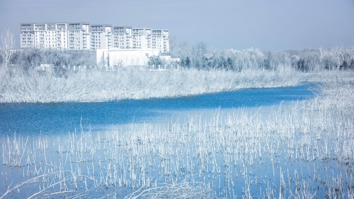 vreme geroasa ger gheata bucuresti lac inghetat