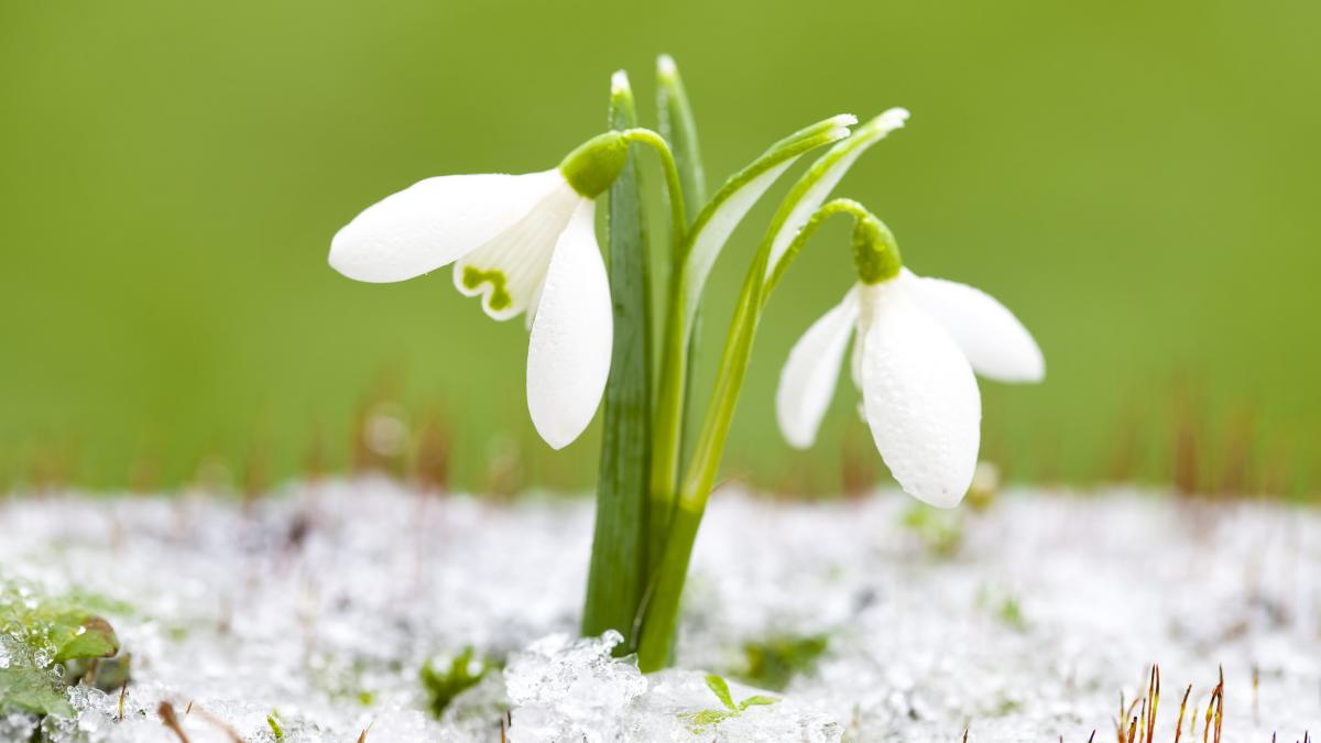 GettyImages-1270018882