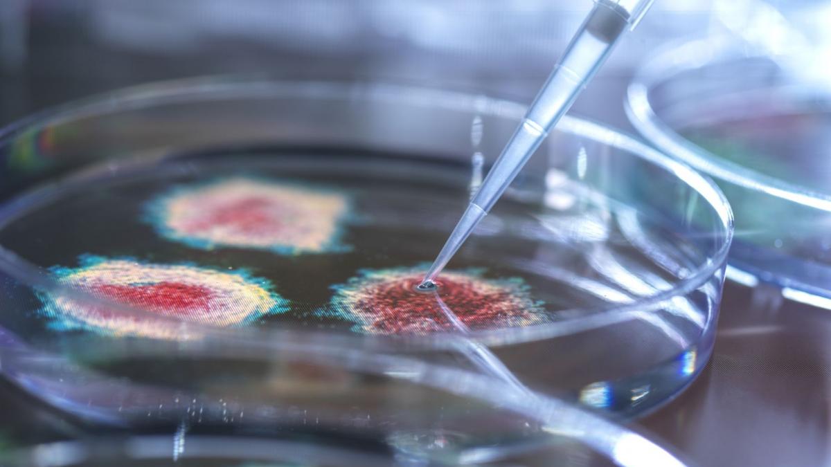 cercetare virus laborator getty images