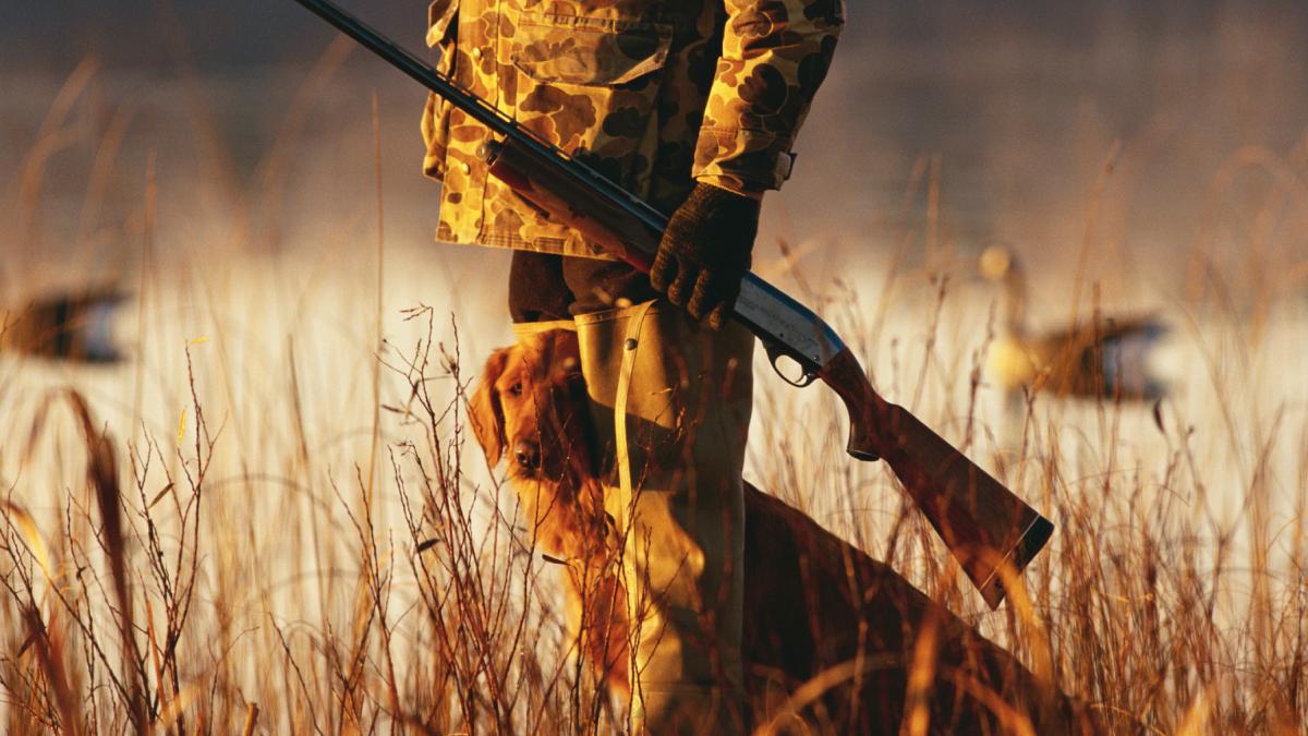 un barbat a fost impuscat accidental la o partida de vanatoare in zona pietroasele din buzau