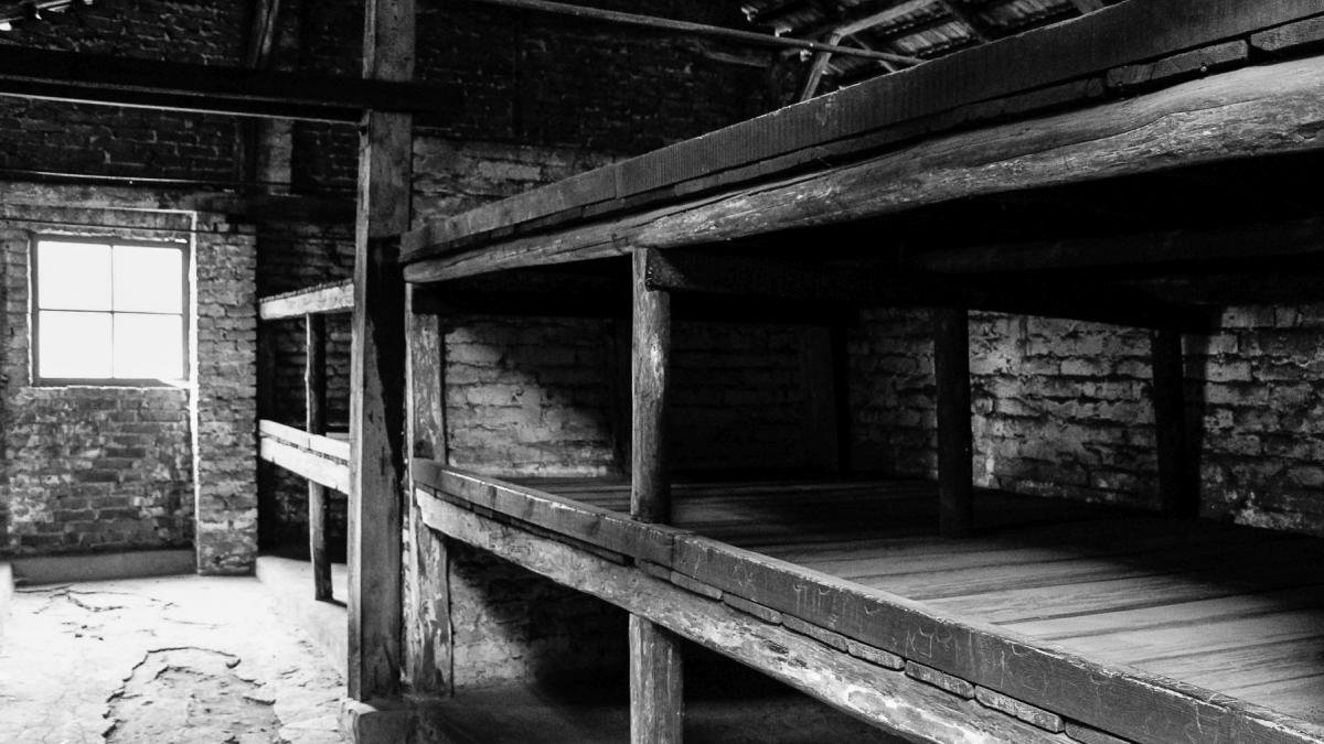 camera lagar de concentrare