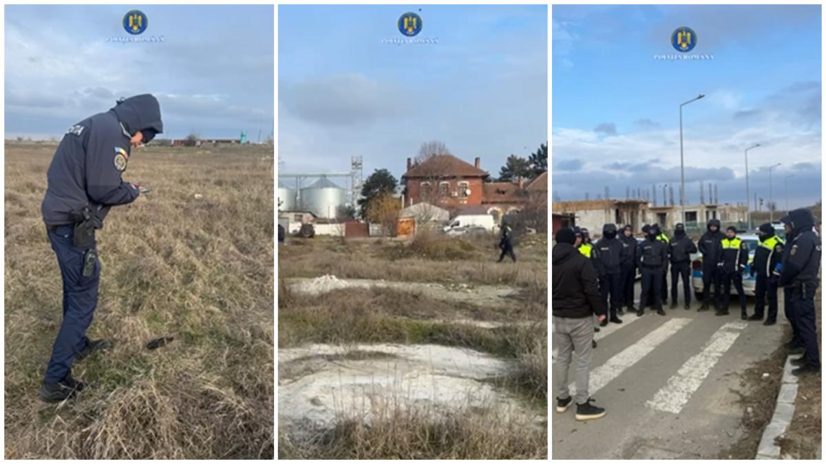 photo-collage.png - 2026-02-01T135122.798