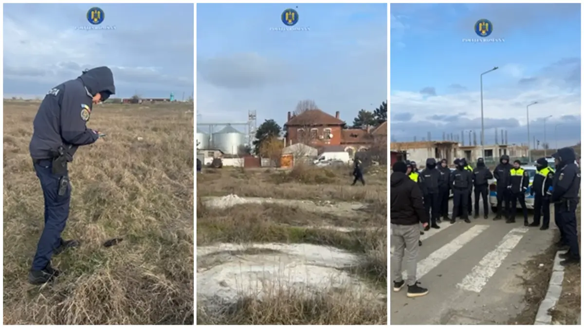descoperire macabra pe un teren de langa slobozia au fost gasite mai multe bucati dintr un cadavru toate ipotezele sunt pe masa