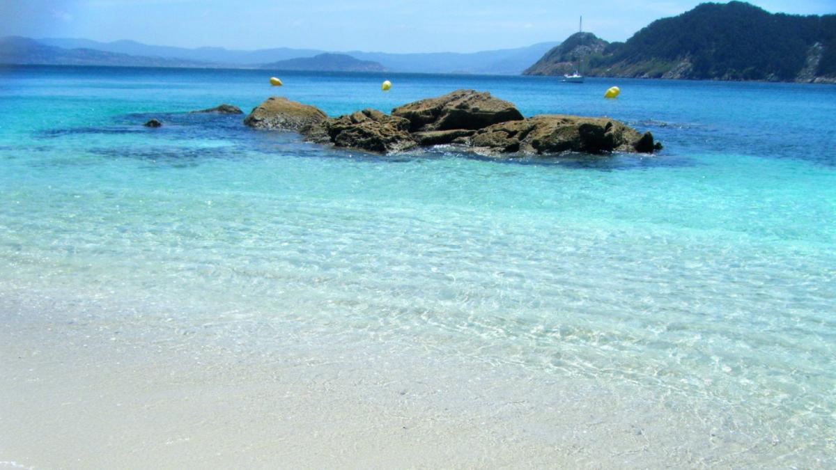 insulele cies getty images