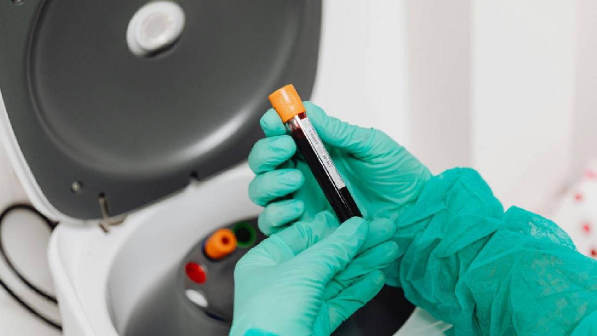 ce este mitocondria si cum o mentinem sanatoasa nu actioneaza singura ci este influentata de intreg organismul